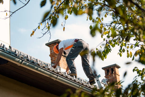Best Gutter Installation and Roofing  in Woodbury, NY